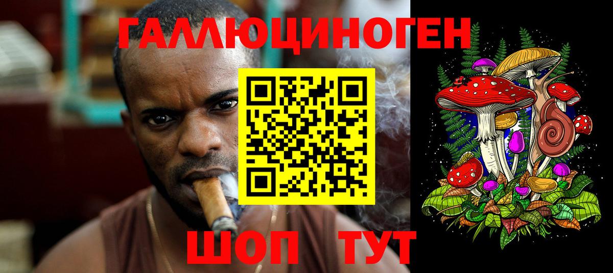 Псилоцибиновые грибы Psilocybe Каменск-Уральский
